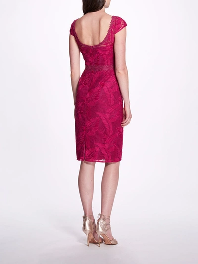 Shop Marchesa Notte Boat Neck Fauna Cocktail Dress In Pink