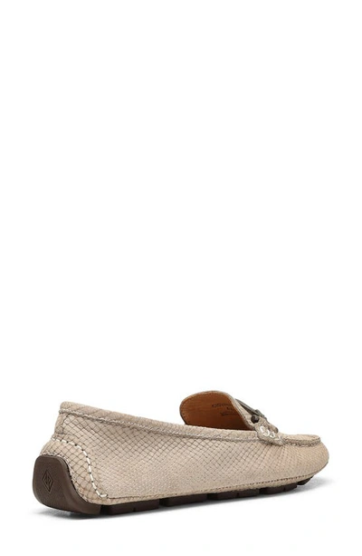 Shop Donald Pliner Giovanna Bit Driving Loafer In Light Taupe