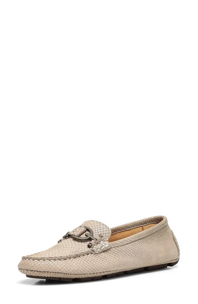 Shop Donald Pliner Giovanna Bit Driving Loafer In Light Taupe