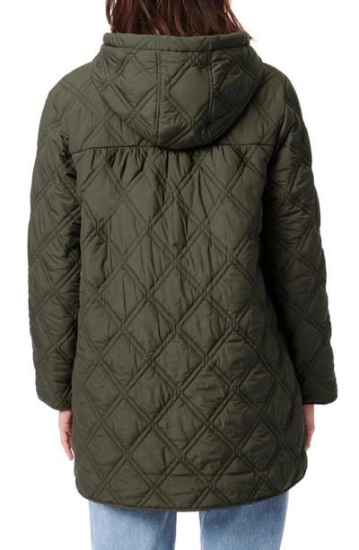 Shop Bernardo Hooded Quilted Liner Jacket In Fig Leaf