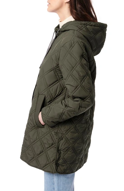 Shop Bernardo Hooded Quilted Liner Jacket In Fig Leaf