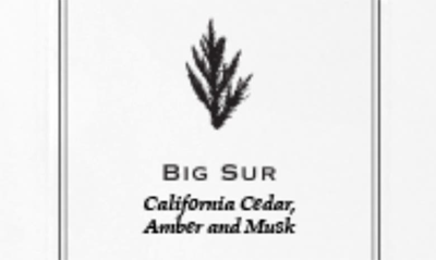 Archipelago Botanicals Luxe Reed Diffuser In Big Sur