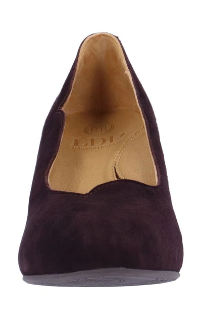 Shop L'amour Des Pieds Bambelle Pointed Toe Pump In Chocolate