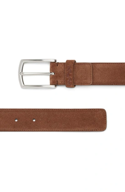 Zegna Triple Stitch Suede Belt In Vicuna