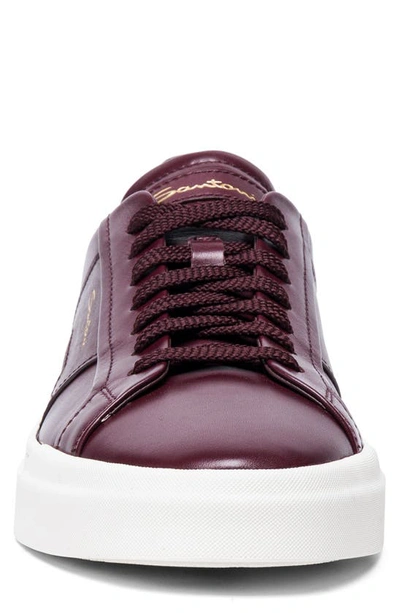 Shop Santoni Double Buckle Inspired Sneaker In Burgundy-b40