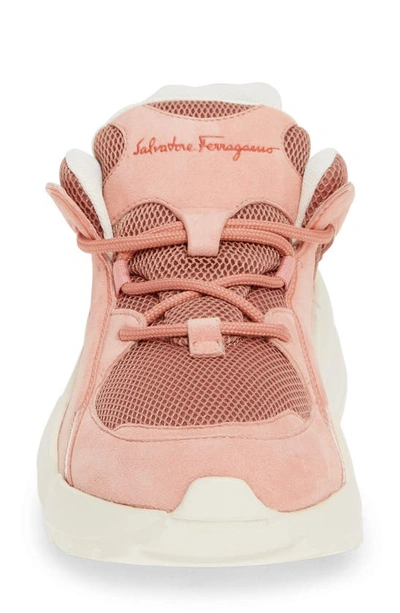 Shop Ferragamo Salvatore  Skylar Wedge Sneaker In Desert Rose