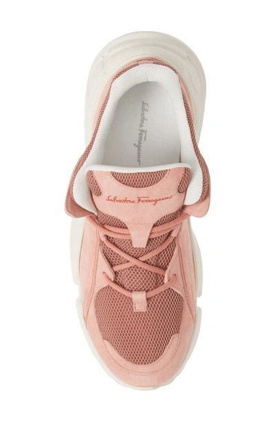 Shop Ferragamo Salvatore  Skylar Wedge Sneaker In Desert Rose