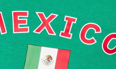 Edikted Mexico Crop Graphic Camisole In Green