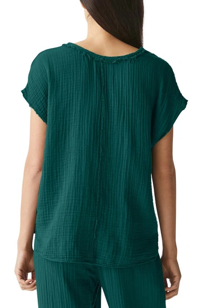 Michael Stars Draya V-neck T-shirt In Ivy