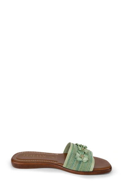 Shop Italian Shoemakers Ivanna Floral Slide Sandal In Green