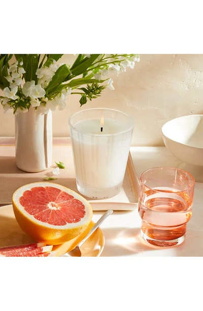 Nest New York Grapefruit Scented Candle
