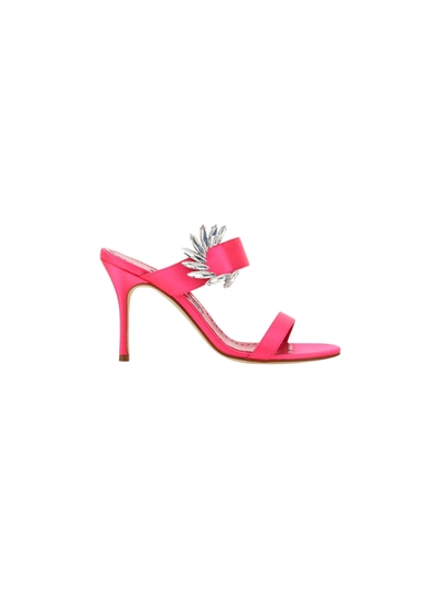 Shop Manolo Blahnik Chivela Sandals