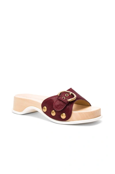 Shop Marc Jacobs Anita Calf Hair Slide Clog In Bordeaux