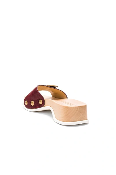 Shop Marc Jacobs Anita Calf Hair Slide Clog In Bordeaux