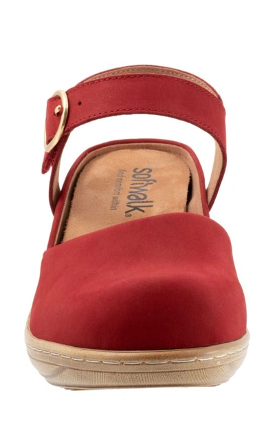Softwalk Mabelle Ankle Strap Clog In Red Nubuck