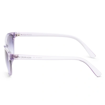 Calvin Klein Purple Cat Eye Ladies Sunglasses Ck20517s 551 56 In Purple