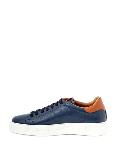 Shop Roberto Cavalli Blue Leather Sneakers With Gold Men's Logo