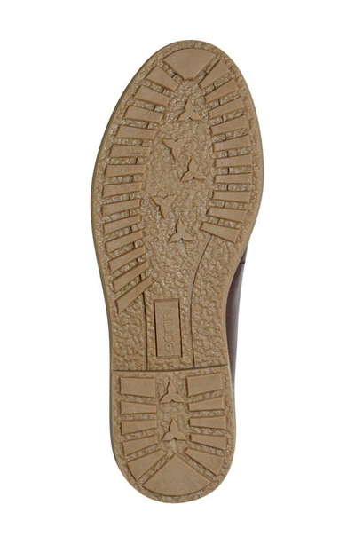 Earth Javas Penny Loafer In Mud Oak