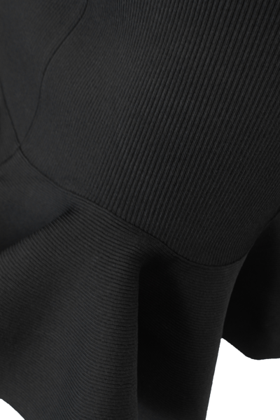Shop Alexander Mcqueen Synthetic Fibers Skirt In Black