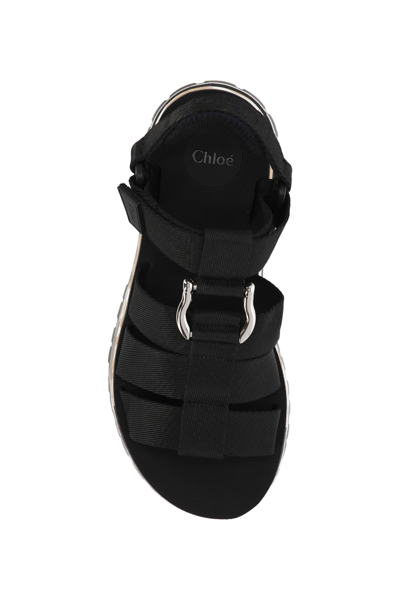 Shop Chloé Shoes In Black