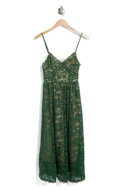 Shop Nsr Crochet Stretch Lace Midi Dress In Hunter