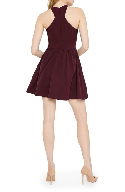 Shop Likely Rinata Shirred Minidress In Fig