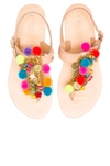 ELINA LINARDAKI Leather Jelly Tots Sandals,JELLY TOTS