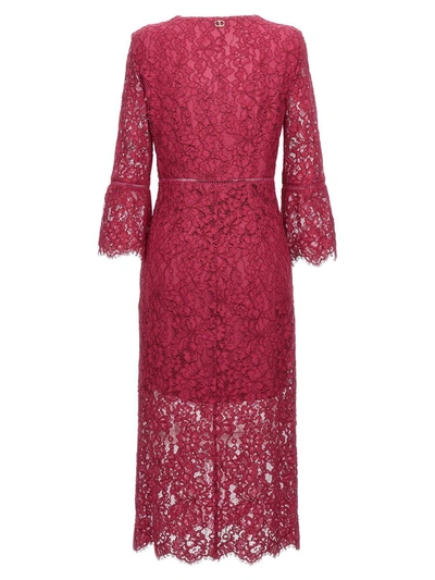Shop Twinset Lace Midi Dress In Fuchsia