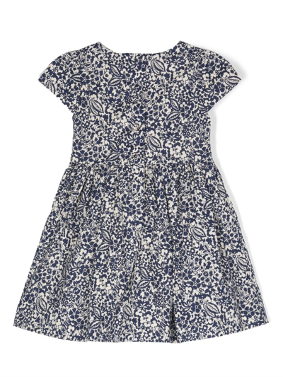 Shop Ralph Lauren Calissa Cotton Flared Dress In Blue