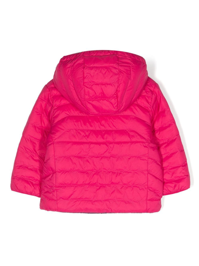Shop Ralph Lauren Logo-embroidered Zipped Padded Jacket In Pink
