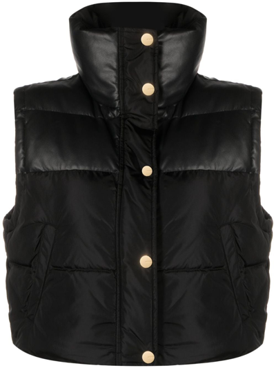 Shop Pinko Cropped Padded Gilet In Black
