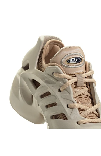 Shop Adidas Originals Kids' Adifom Climacool Sneaker In Wonder Beige/ Magic Beige