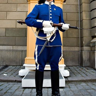 Pre-owned 100% Swedish Royal Guard In Traditional Uniform Men's Blue Wool Jacket And Trouser In Brown