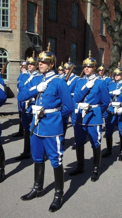 Pre-owned 100% Swedish Royal Guard In Traditional Uniform Men's Blue Wool Jacket And Trouser In Brown