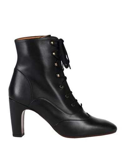 Shop Chie Mihara Woman Ankle Boots Black Size 8 Leather