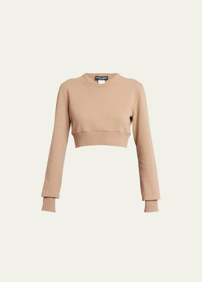 Shop Dolce & Gabbana Cashmere And Wool Cropped Knit Crewneck In Brown