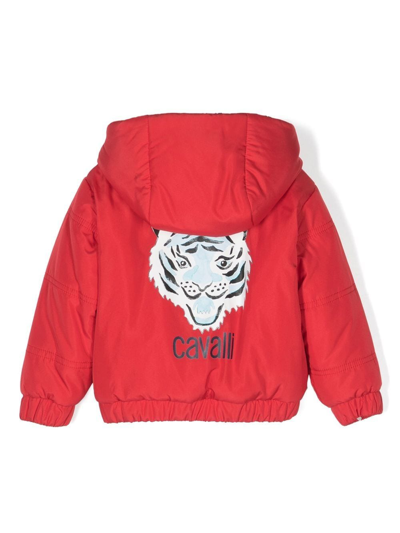 Roberto Cavalli Junior Logo-print Padded Jacket In Red
