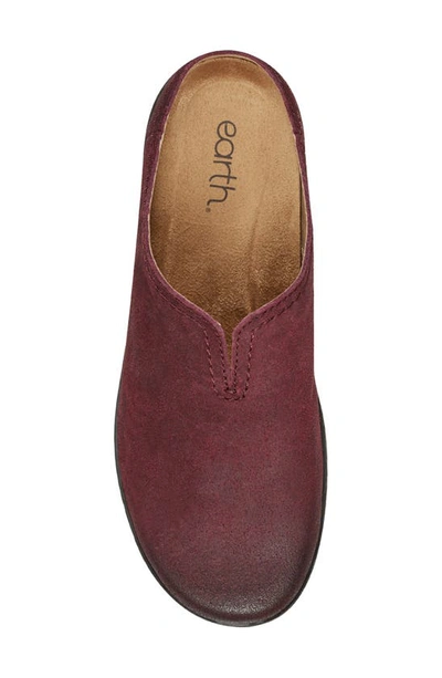 Earth Women's Kolia Round Toe Slip-on Casual Heeled Mules Dark Red In Baccanera