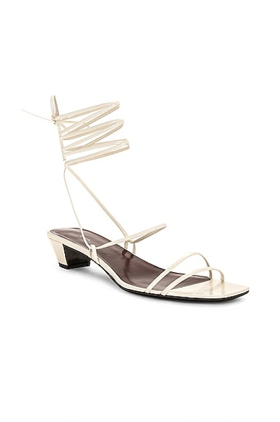 Shop The Row Graphic Strap Kitten In Ivory