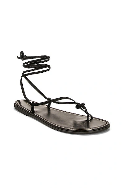 Shop The Row Knot Flat Sandal In Dark Brown