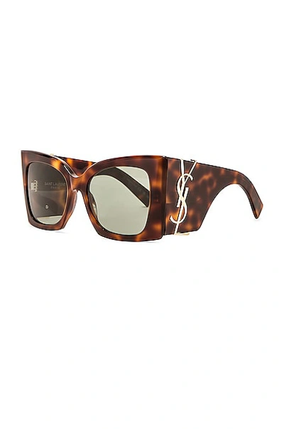 Saint Laurent Blaze Sunglasses In Shiny Medium Havana