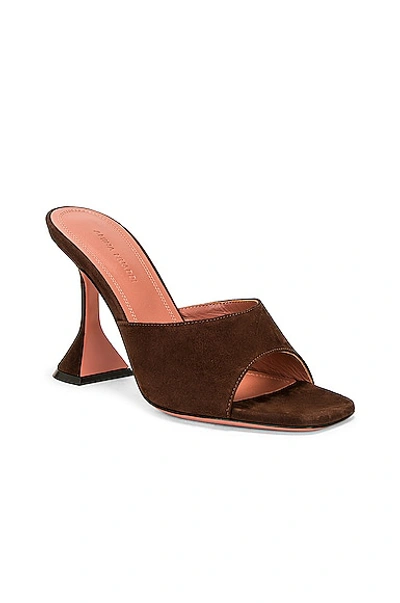 Shop Amina Muaddi Lupita Suede Slipper Mule In Dark Brown