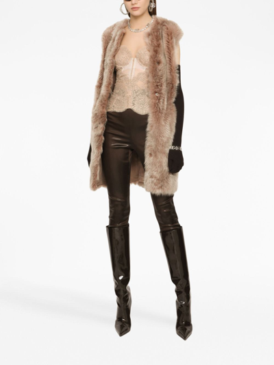 Dolce & Gabbana Logo-waistband Satin Leggings In Brown