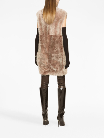 Dolce & Gabbana Logo-waistband Satin Leggings In Brown