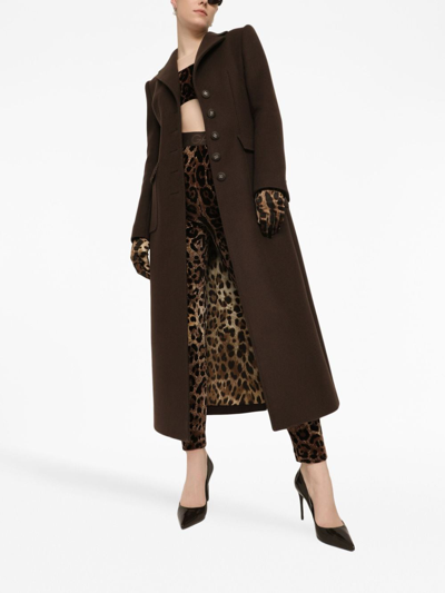 Dolce & Gabbana High Waist Leopard Print Cotton Blend Leggings In Brown