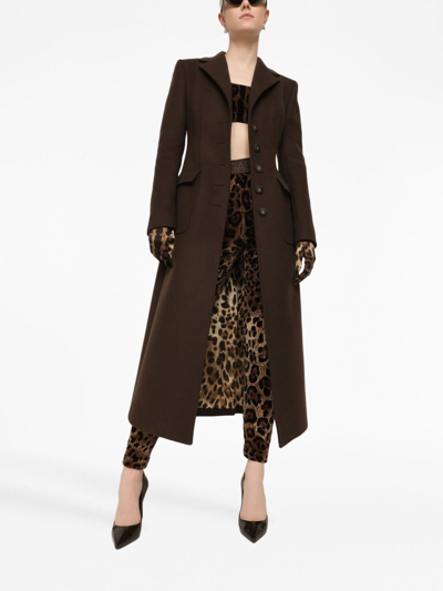 Dolce & Gabbana High Waist Leopard Print Cotton Blend Leggings In Brown