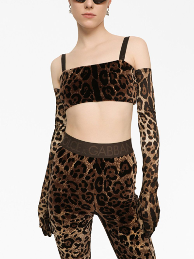Dolce & Gabbana High Waist Leopard Print Cotton Blend Leggings In Brown