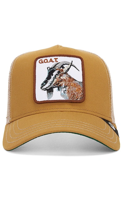 Shop Goorin Brothers The Goat Hat In Khaki