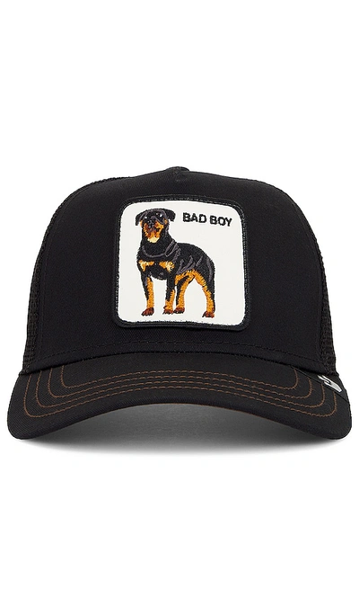 Shop Goorin Brothers The Baddest Boy Hat In Black