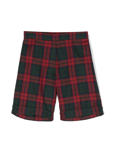 Siola Tartan-check Cotton-blend Shorts In Green
